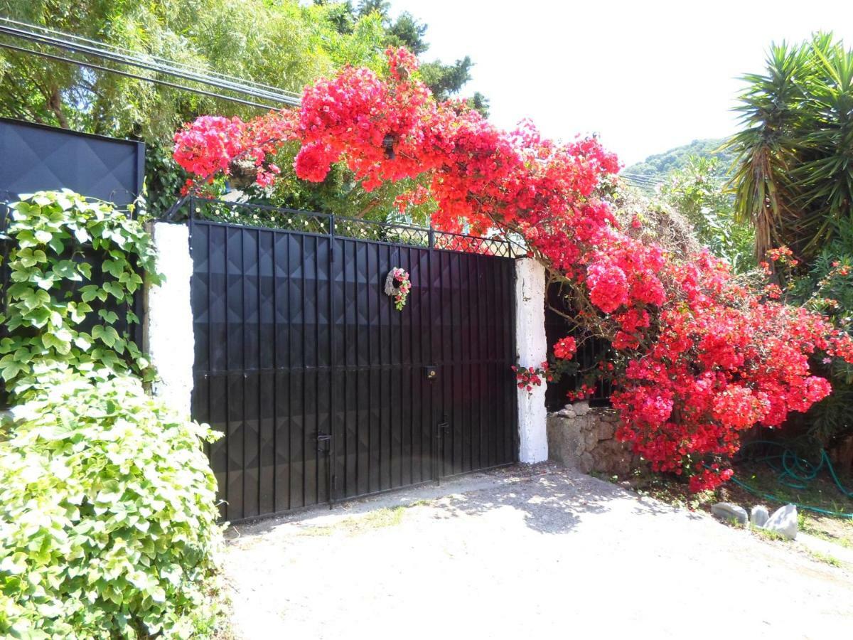 Villa Leena Paramonas  Exterior photo