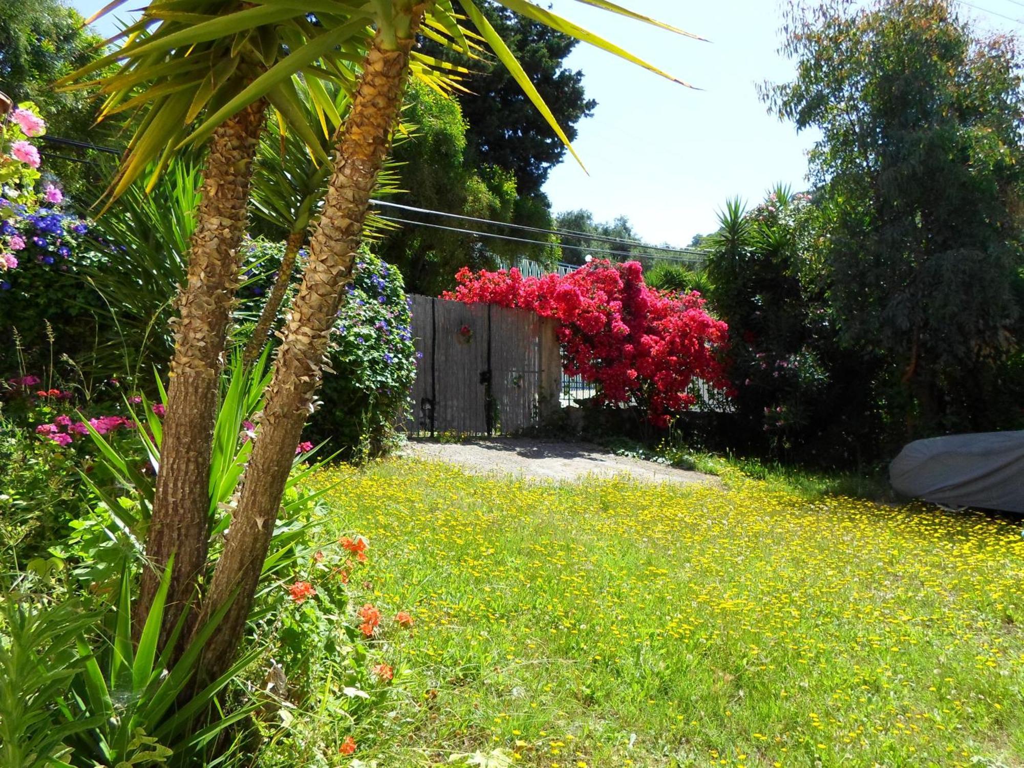 Villa Leena Paramonas  Exterior photo